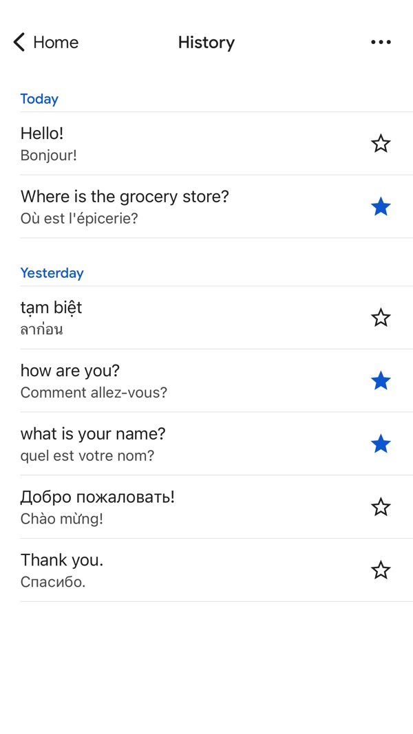 Google Translate app screenshot 1