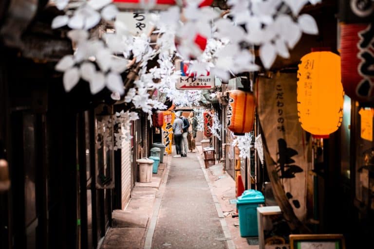 Day 1: Arrival in Tokyo