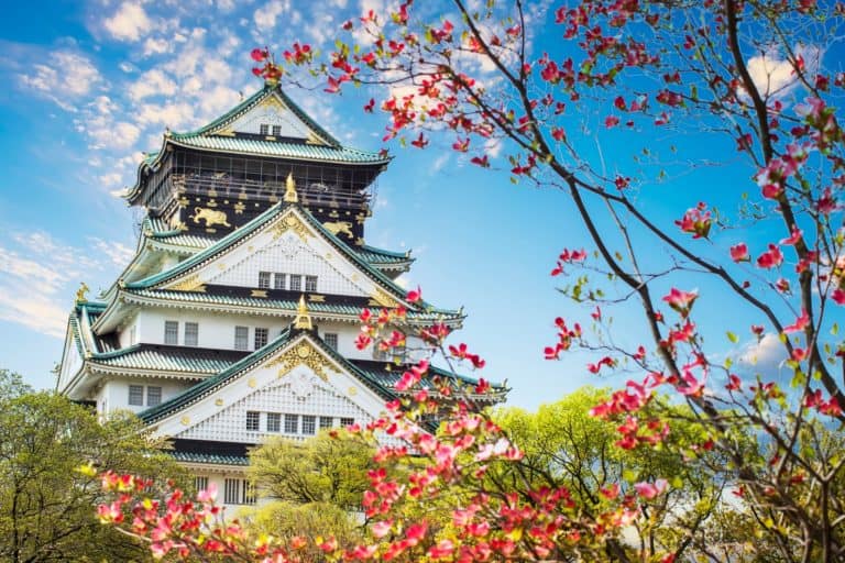 Day 9: Osaka Sightseeing