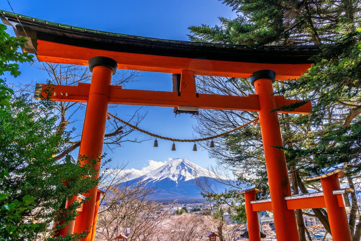 Content creator filming in Japan