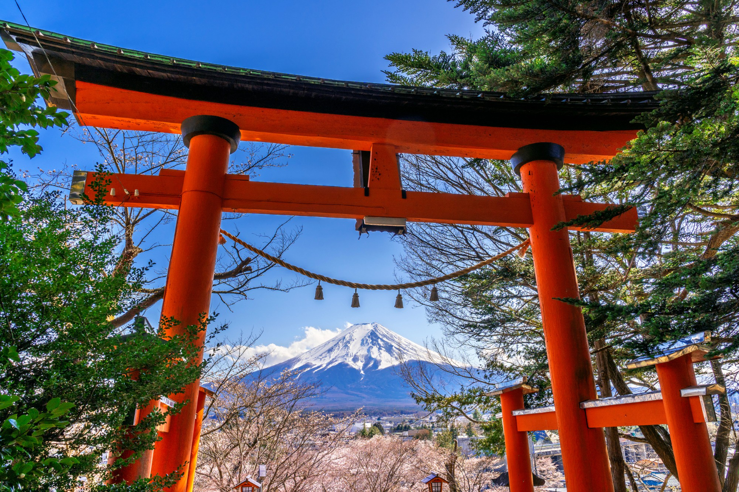 Content creator filming in Japan