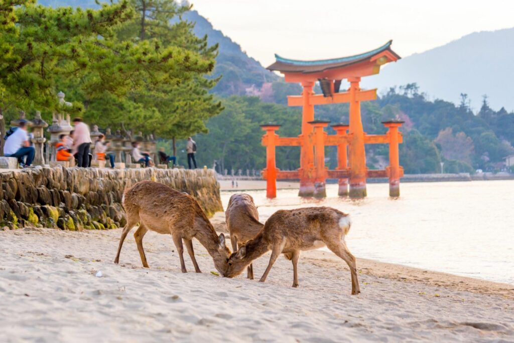 Miyajima island