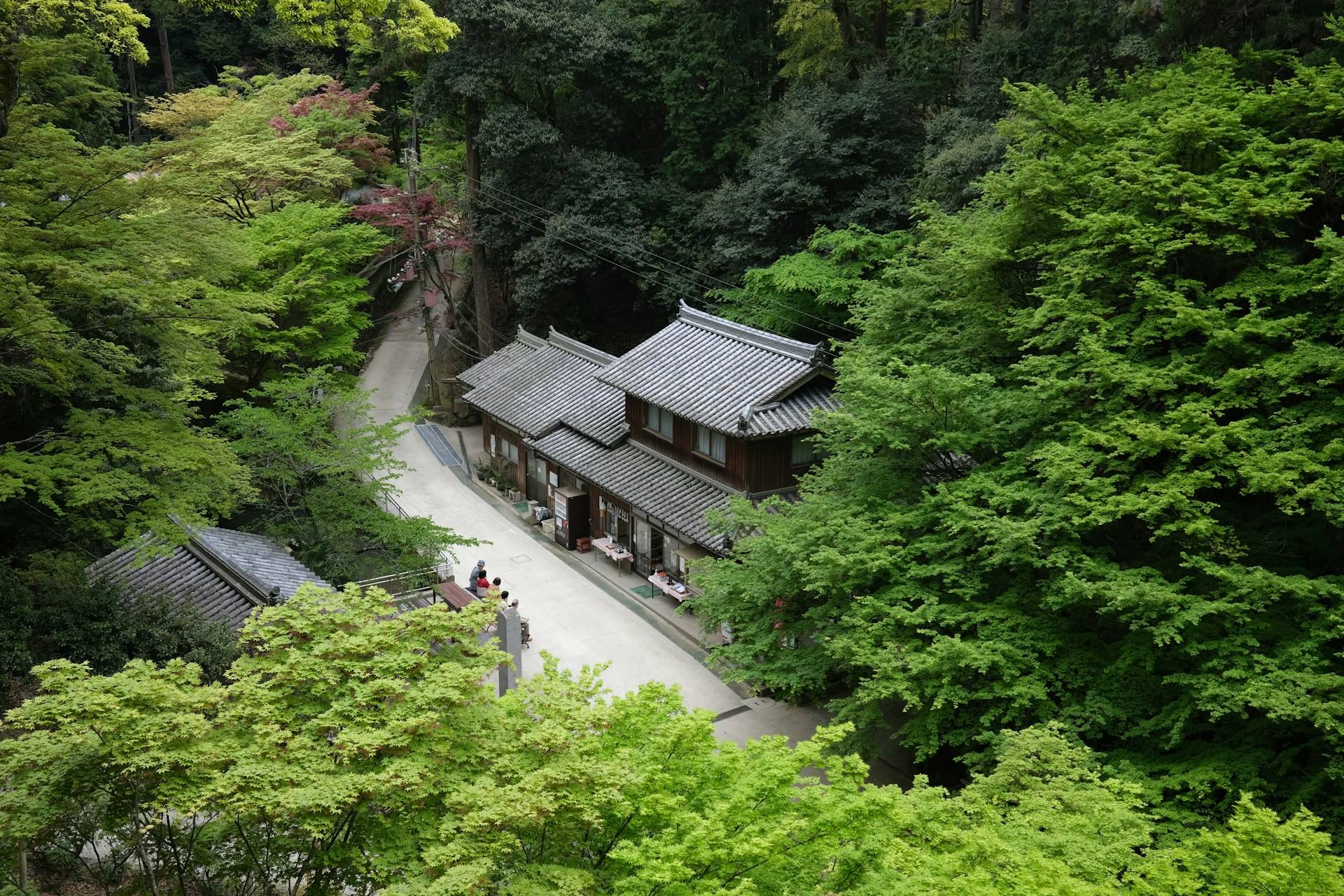 Mount Shosha