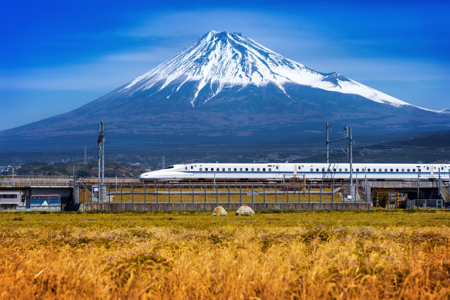 Nozomi shinkansen passing Mount Fuji