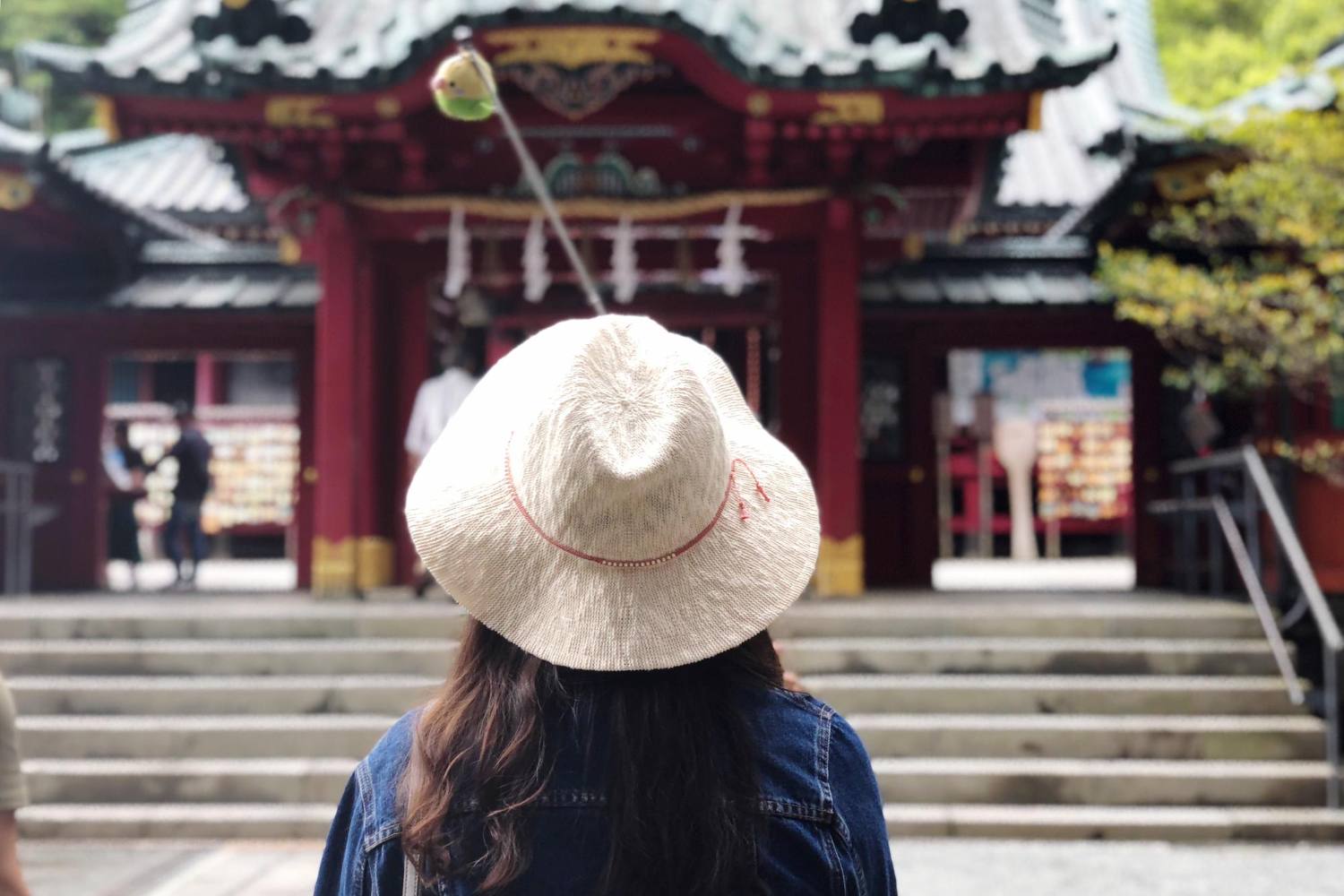 Tokyo, Kyoto & Osaka - 7 day Japan itinerary