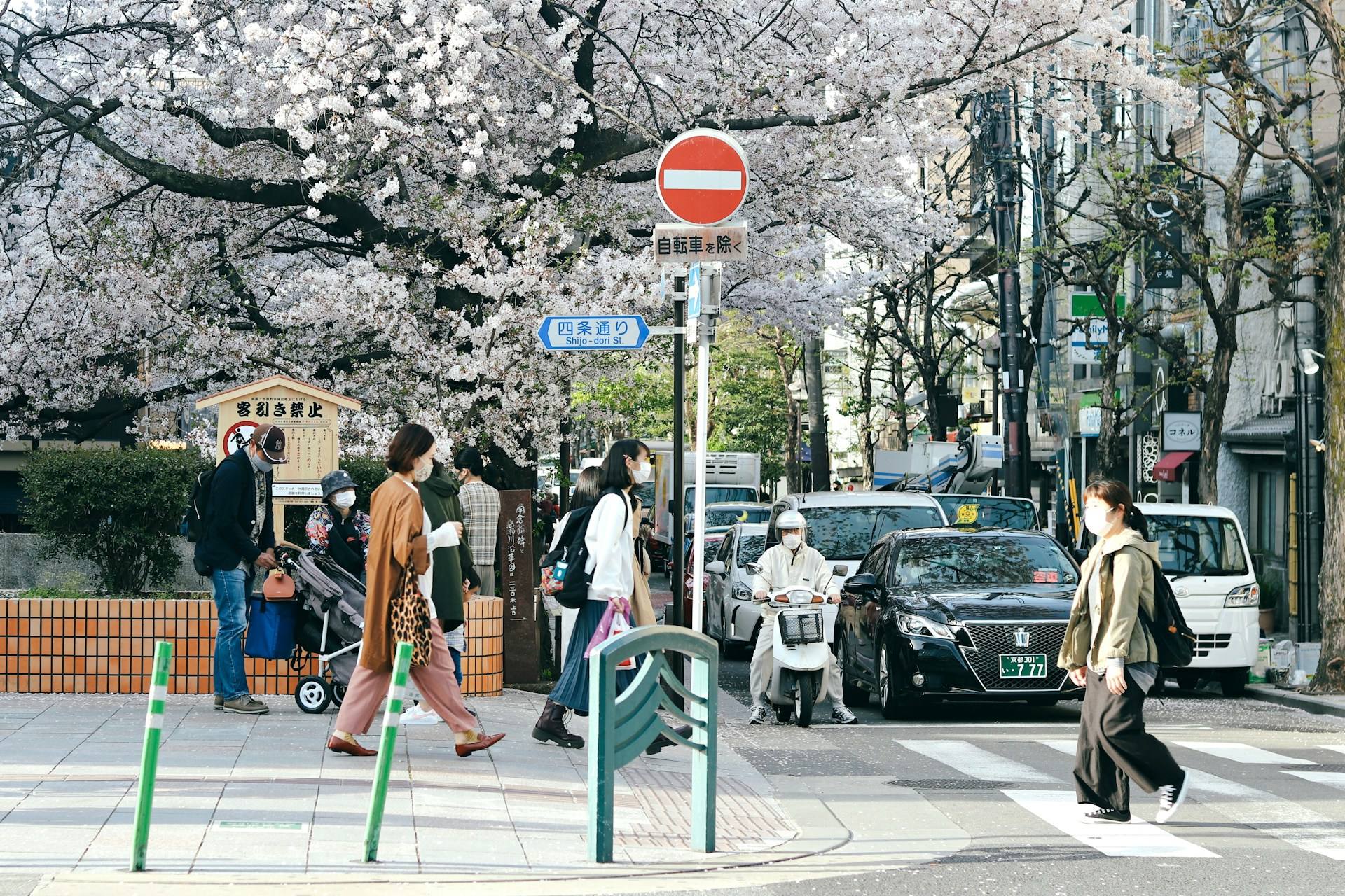 Spring in Fukuoka