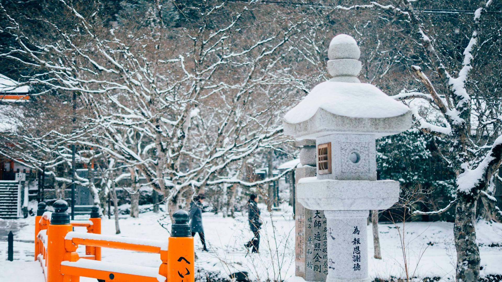 Winter in Fukuoka