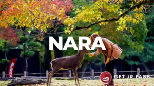 Nara travel guide