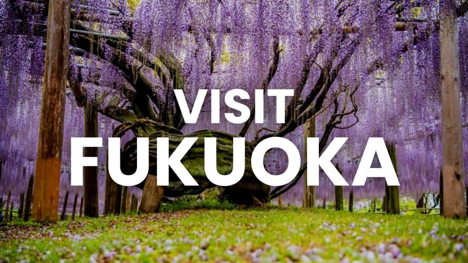 visit fukuoka