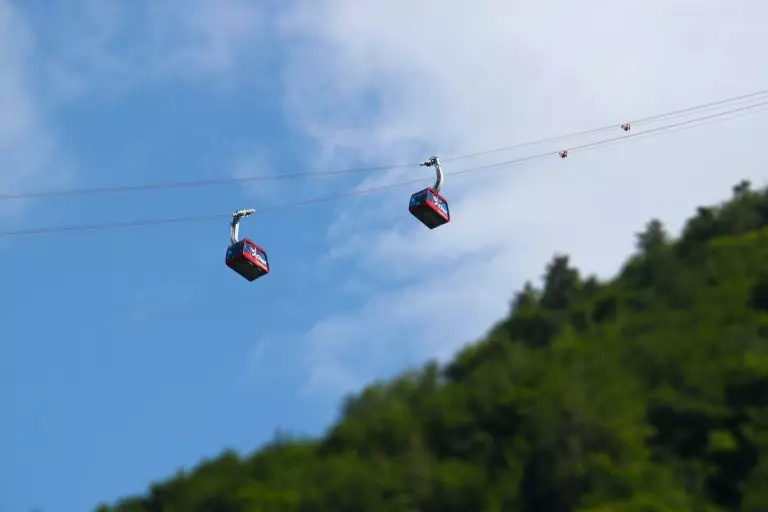 Ropeway over trees