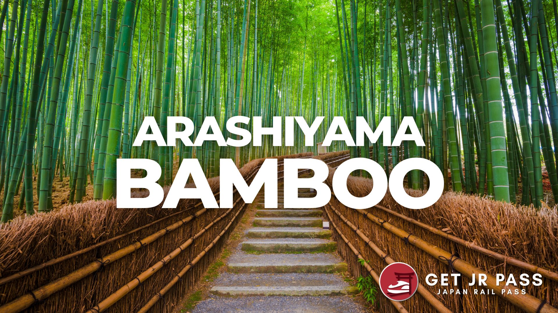 Exploring Arashiyama: A Travel Guide to Kyoto's Bamboo Forest