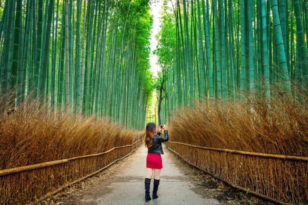 woman in bamboo forest